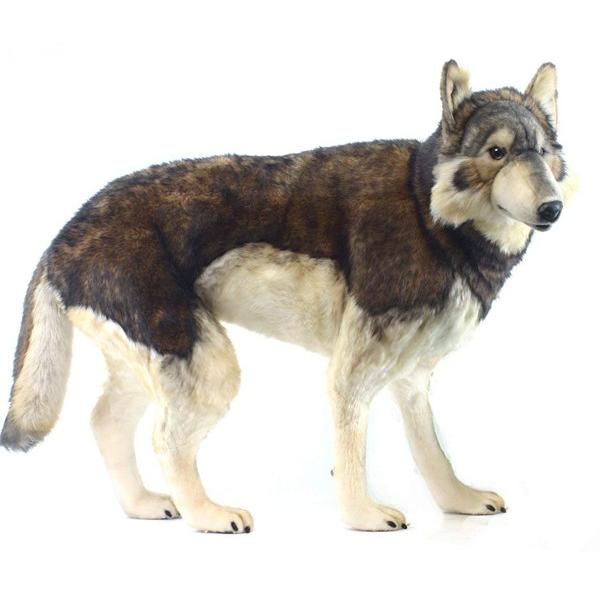 HANSAぬいぐるみ【歩く シンリンオオカミ（全長105cm)】（等身大