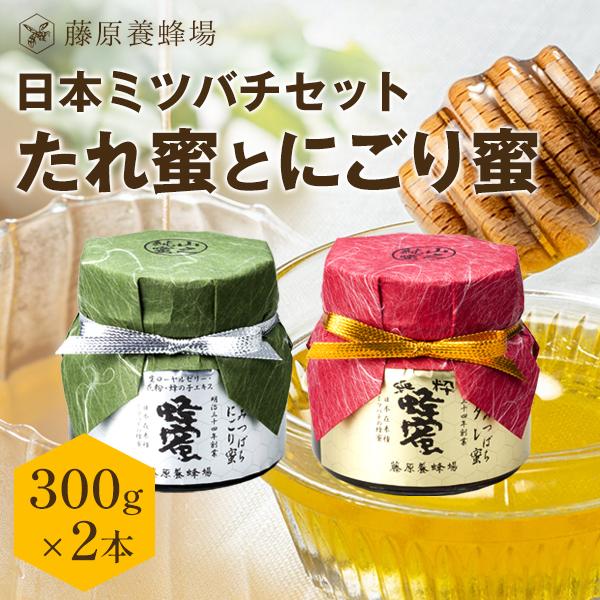 国産はちみつ ハチミツセット 日本在来種みつばちの蜂蜜 タレ蜜と