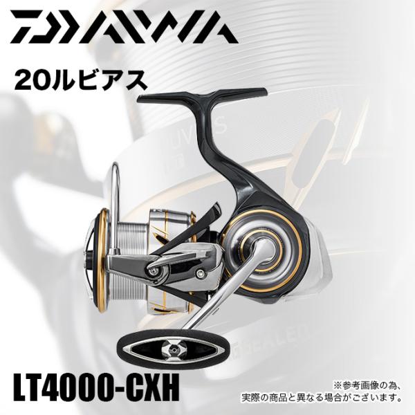 DAIWA（ダイワ） 【目玉商品】ダイワ 20 ルビアス LT 4000-CXH (2020年