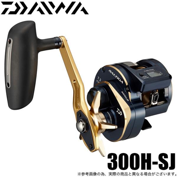 DAIWA（ダイワ） 21 ソルティガ IC 300H-SJ (右ハンドル) 2021年モデル