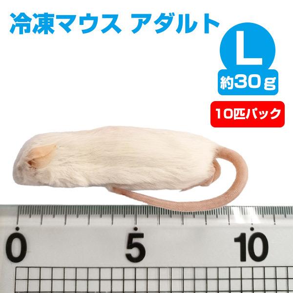 冷凍 エサ冷凍 冷凍マウス アダルトLサイズ 約30g 10匹パック T2