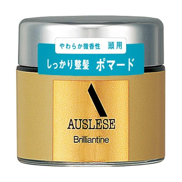 SHISEIDO（資生堂） アウスレーゼ ブリランチンN ポマード 80g : フジ