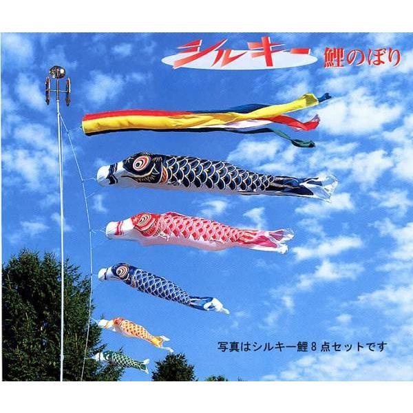 こいのぼり 庭園用 旭天竜 【2019年新作】 鯉幟 セット各種（ポール