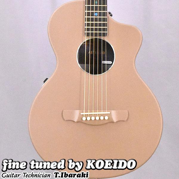 NATASHA ASTEROID NSX Lotte ナターシャ スマートギター ミニ