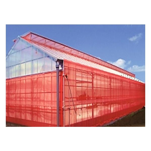 木材標本 3種【日本国産・外国産・熱帯産】 木材標本 3種【日本国産