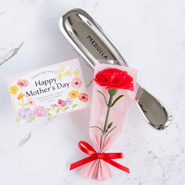 名入れギフトKARIN ブラシ シャンプーブラシ MEDULLA プレゼント