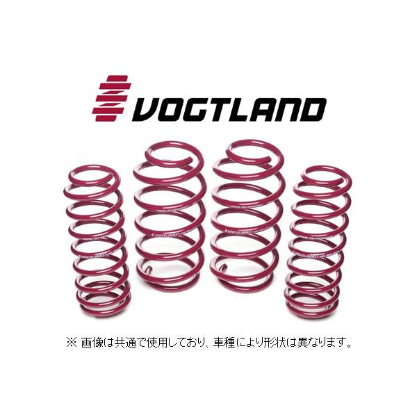 フォクトランド ダウンサス アルファ ジュリア 95220 959154 : キー