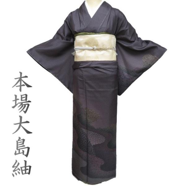 本場 大島紬 着物 未使用 正絹 袷 セミフォーマル ラベル付き 江戸小