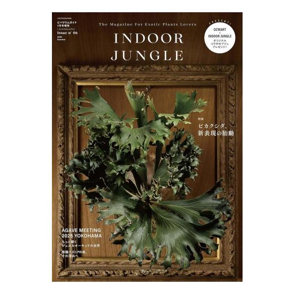 INDOOR JUNGLE (インドアジャングル) Issue.06 ビカクシダ[雑誌