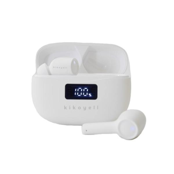 ksdenki_4580780010094