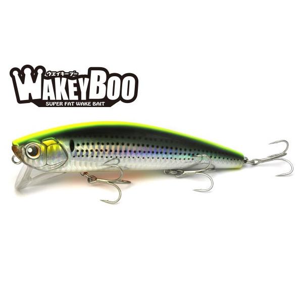 kt-gigaweb_198-wakeyboo