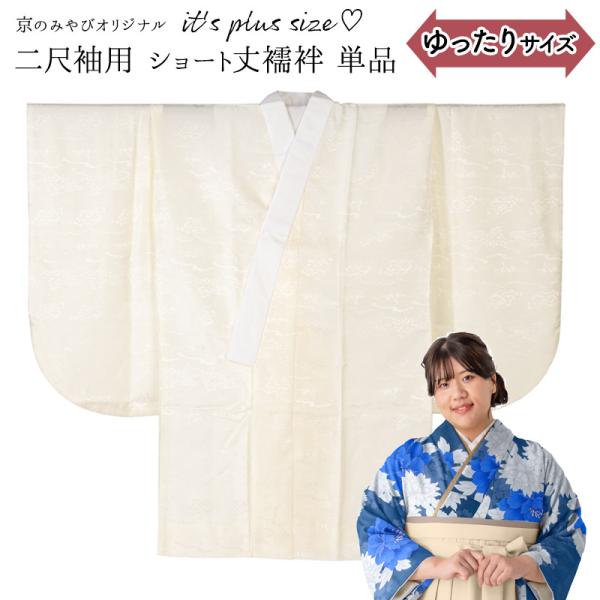 ぽっちゃりサイズ 洗える 長襦袢 単品 二尺袖用 プラスサイズ ふっくら