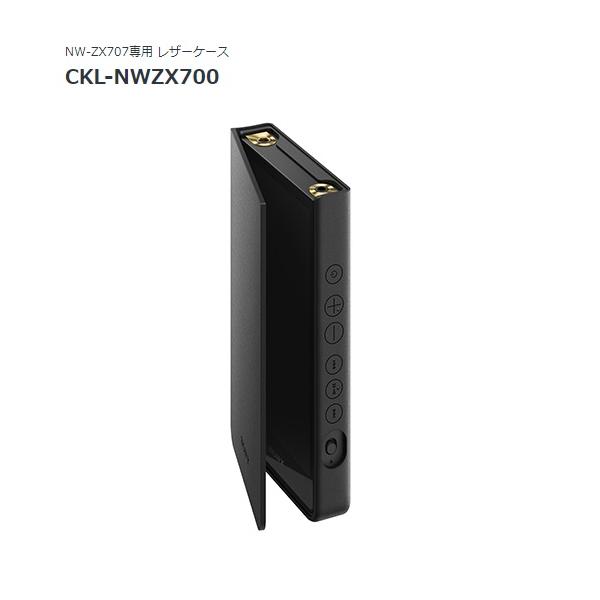 inouedenki_ckl-nwzx700