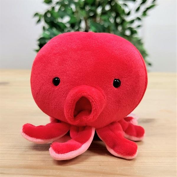 ぷてぃまりんタコ フエ入りマスコット（小） ぬいぐるみ たこ タコ