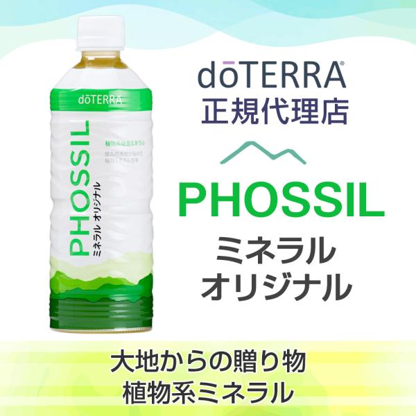 house-wife_doterra-mineral03