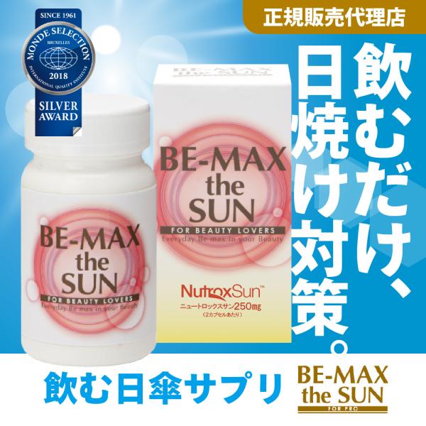 hogushiyahonpo_61-bemax-thesun