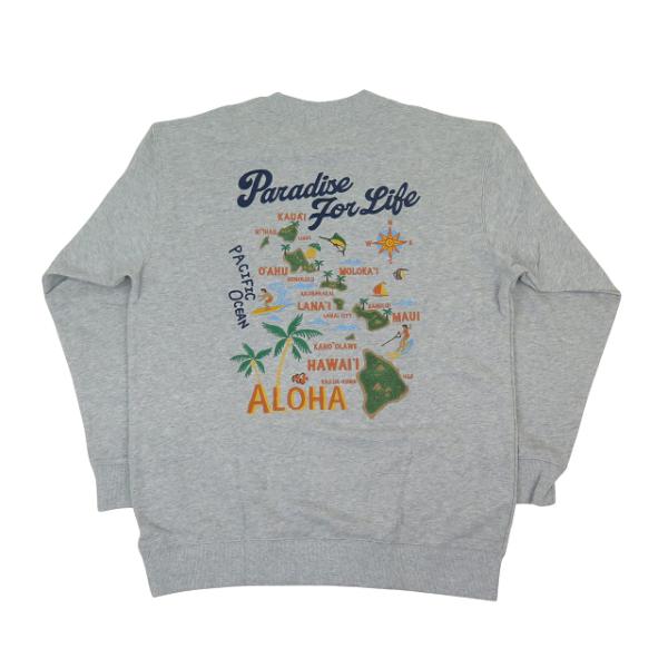 holoholo_254hu1tr129gry