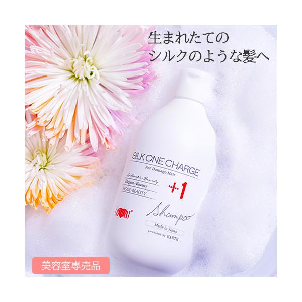 EARTHEART（アースハート） シャンプー サロン専売 シルクワンチャージ