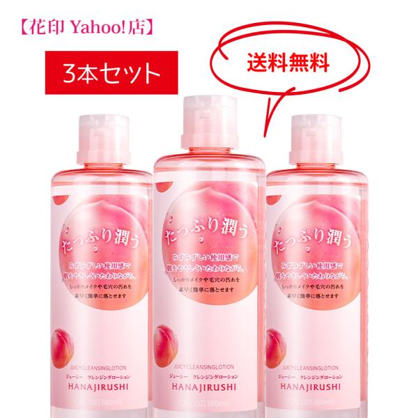 hanajirushi_10000007-3