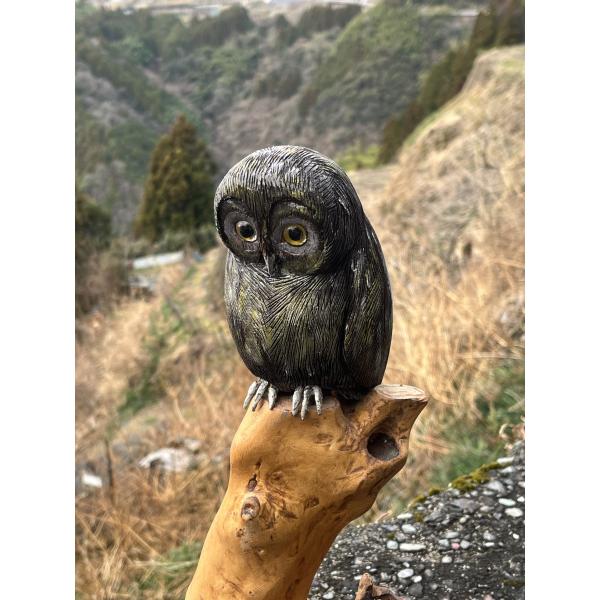 名人が作った 木彫りのフクロウ C(1羽) 木彫り ふくろう 梟 フクロウ