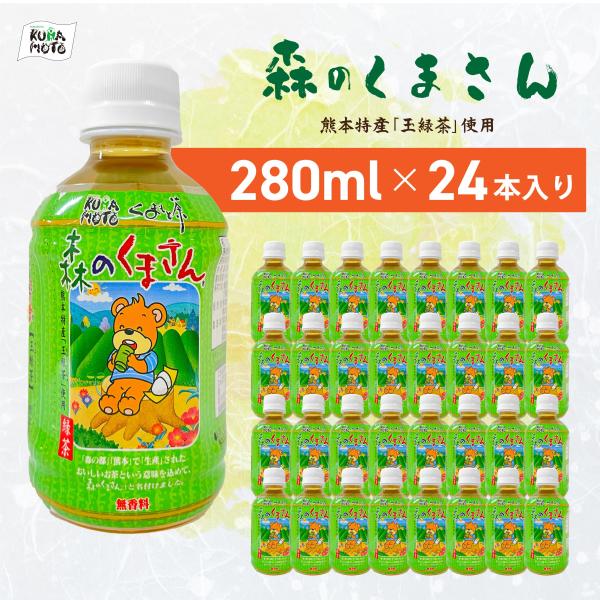 緑茶【森のくまさん】ペットボトル 280ml×24本 玉緑茶 JA 熊本 高級