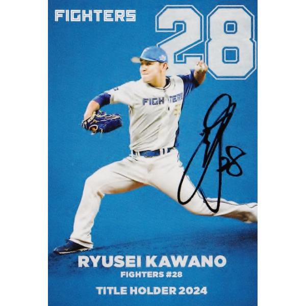 jambalaya_25cp-1-t17