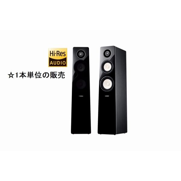 onkenaudio_nsf500b