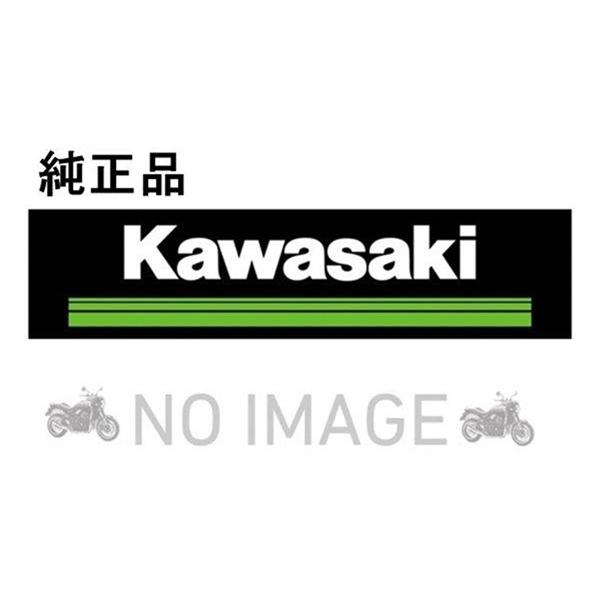 カワサキ（Kawasaki） カワサキ純正部品 Ninja ZX-10R 23 (ZX1002MPFAL