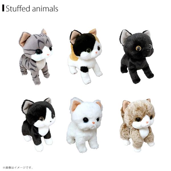 いっしょがいいね ぬいぐるみ【全6種】猫 シロ ミックス ハチワレ ミケ