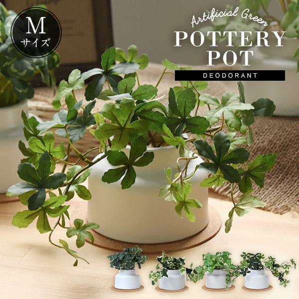 キシマ（KISHIMA） CT触媒 フェイクグリーン 陶器鉢(M) コルク
