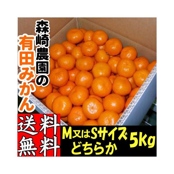 有田みかん 5kg M・Sサイズおまかせ 森崎農園 ふる里みかん ありだ