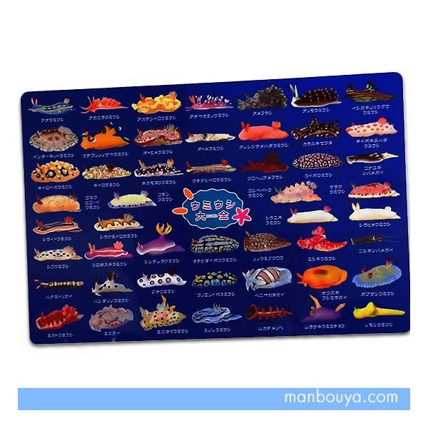 A4サイズのしたじき ウミウシ グッズ 図鑑タイプ 下敷き ザ・アクセス
