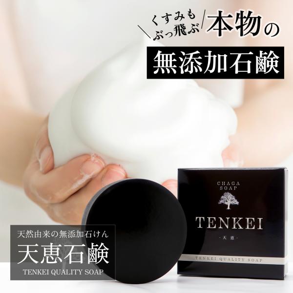 正規代理店 天恵クオリティソープ 80g プラスケア サロン品質 100%植物