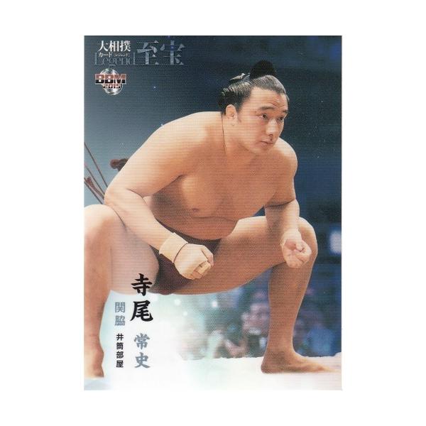 15BBM 大相撲カード LEGEND 至宝 #33 寺尾 常史 : スポーツカード