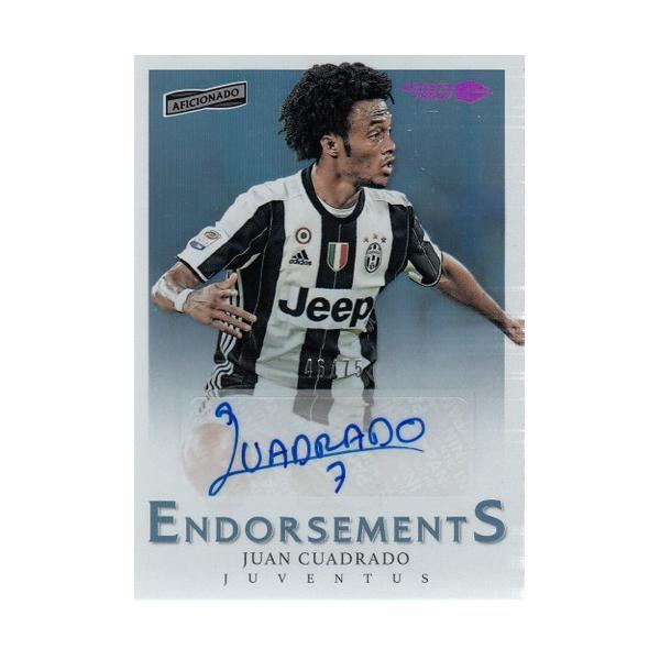 mintkashii_1617afisionado-