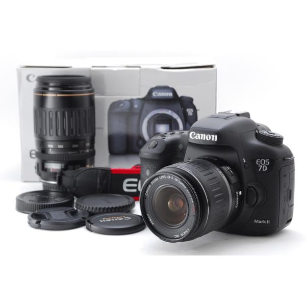 mrabbit-camera_d000226