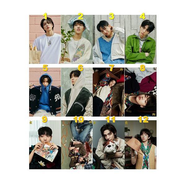 BOYNEXTDOOR KCON JAPAN 限定 トレカ全員6枚 BOYNEXTDOOR KCON JAPAN