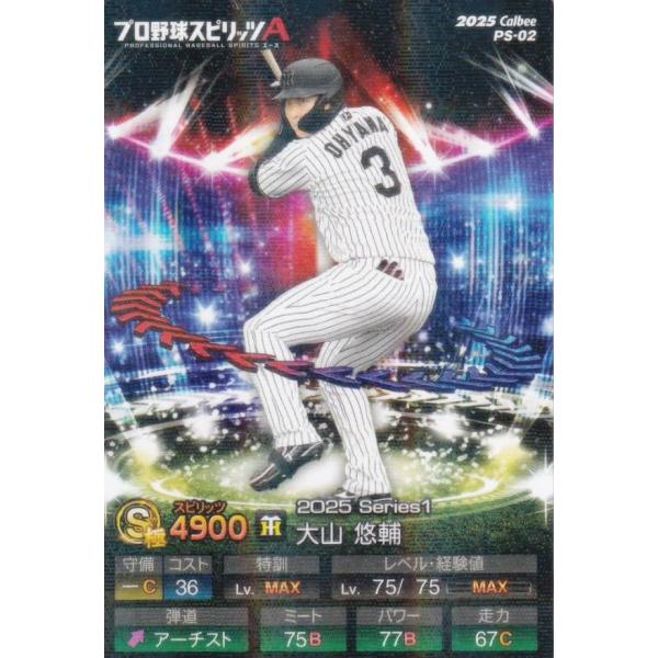 lead-netstore_25psa112512ttp002