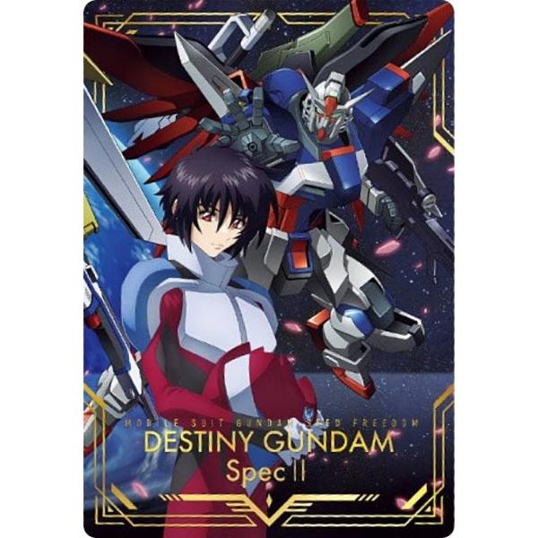 デスティニーガンダム & シン ACE デスティニーガンダム & シン ACE
