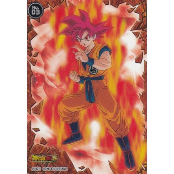 lead-netstore_301901s152brt03