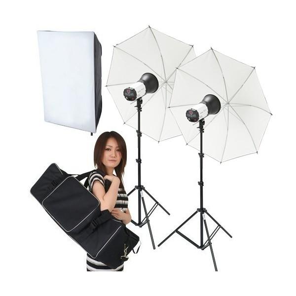 撮影機材 撮影照明「ソク撮」デジタル250W ストロボ2灯セット : 撮影