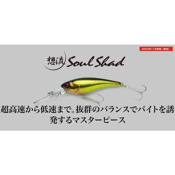 lure-shop-bb_soulshad68sp