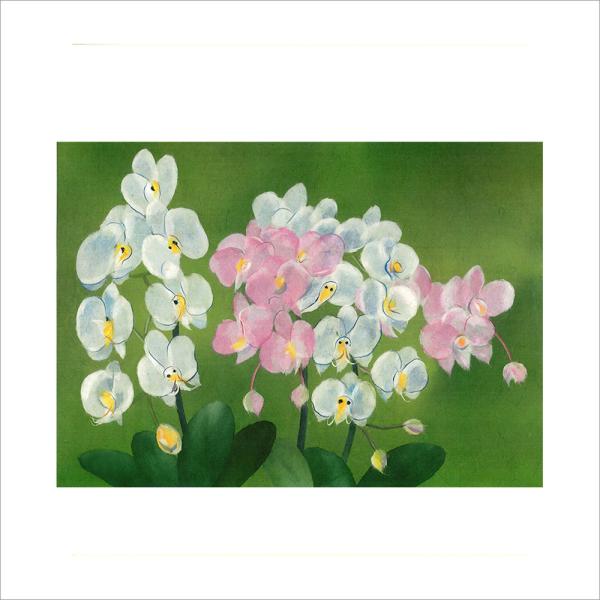 和紙のちぎり絵キット花鳥風月 （夏） 「 No.6009 ラン 」 色紙サイズ