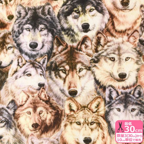 ジム・ブランデンバーグ 直筆サイン入り プリント 写真アート現状品 狼