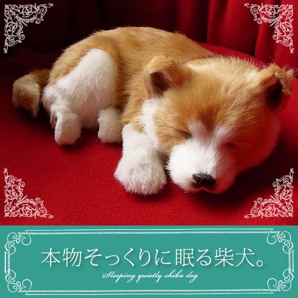 ニニアンドキノ パーフェクトペット (小サイズ) 柴犬 犬 いぬ イヌ