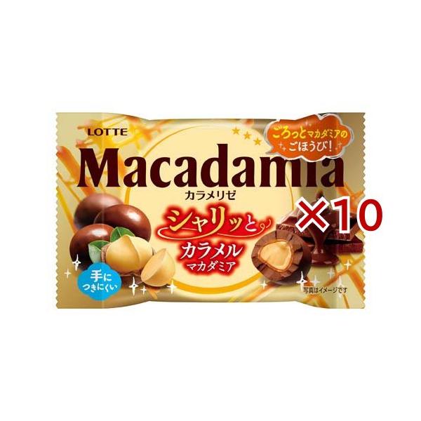 マカダミアチョコレートポップジョイ カラメリゼ ( 34g×10セット