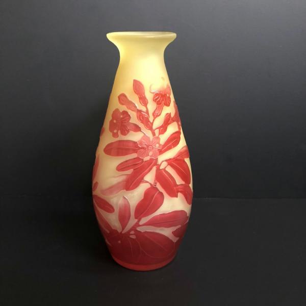 sophianetshop_5ot00222