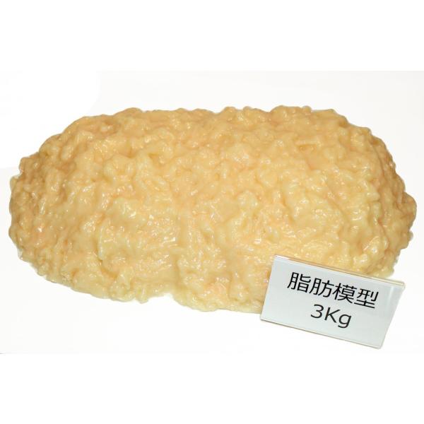 実物重量 脂肪サンプル 3kg 食品サンプル 脂肪模型 ダイエット