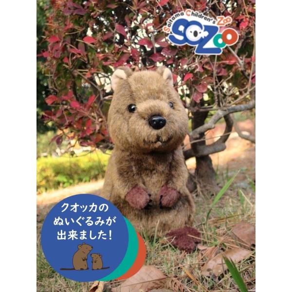クオッカ ぬいぐるみ : 埼玉県こども動物自然公園 - 通販 - Yahoo