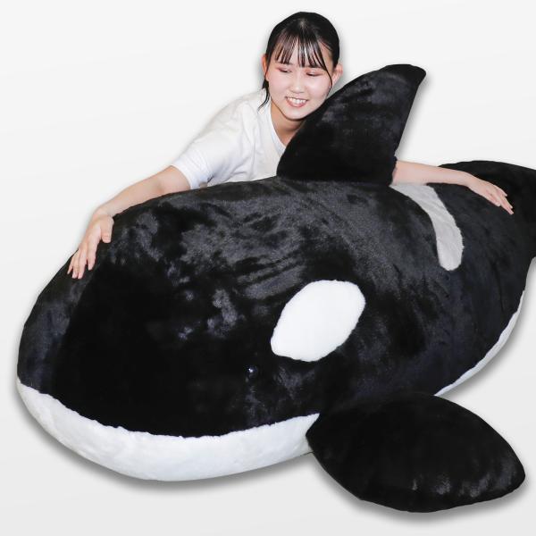 すてれっぱつシャチぬいぐるみ : 鴨川シーワールドオルカショップ